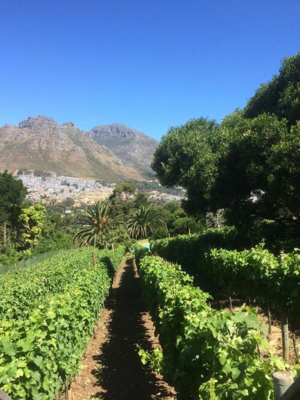 5 Bedroom Property for Sale in Hout Bay Western Cape